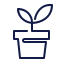 Donación Planta